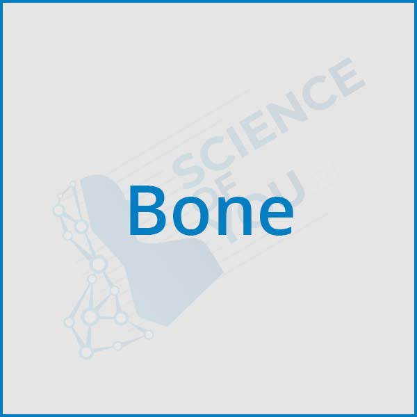 Bone