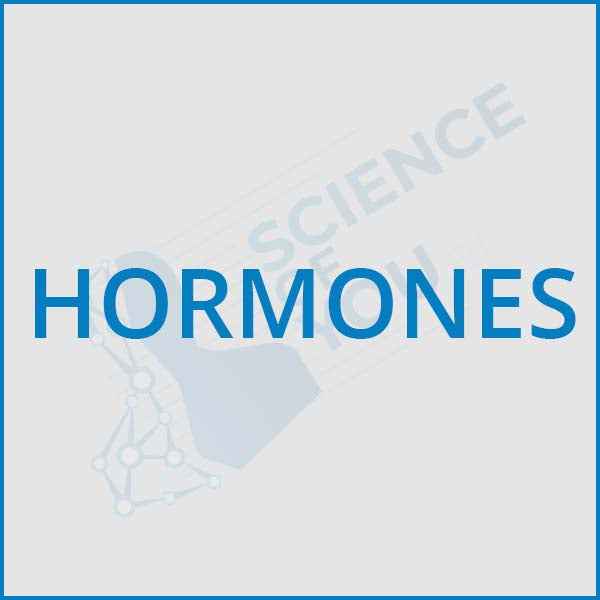 Hormonal Balance