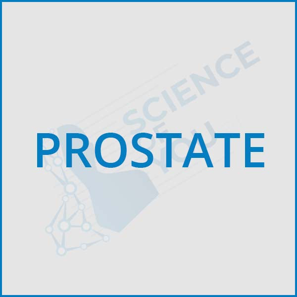 Prostate Health